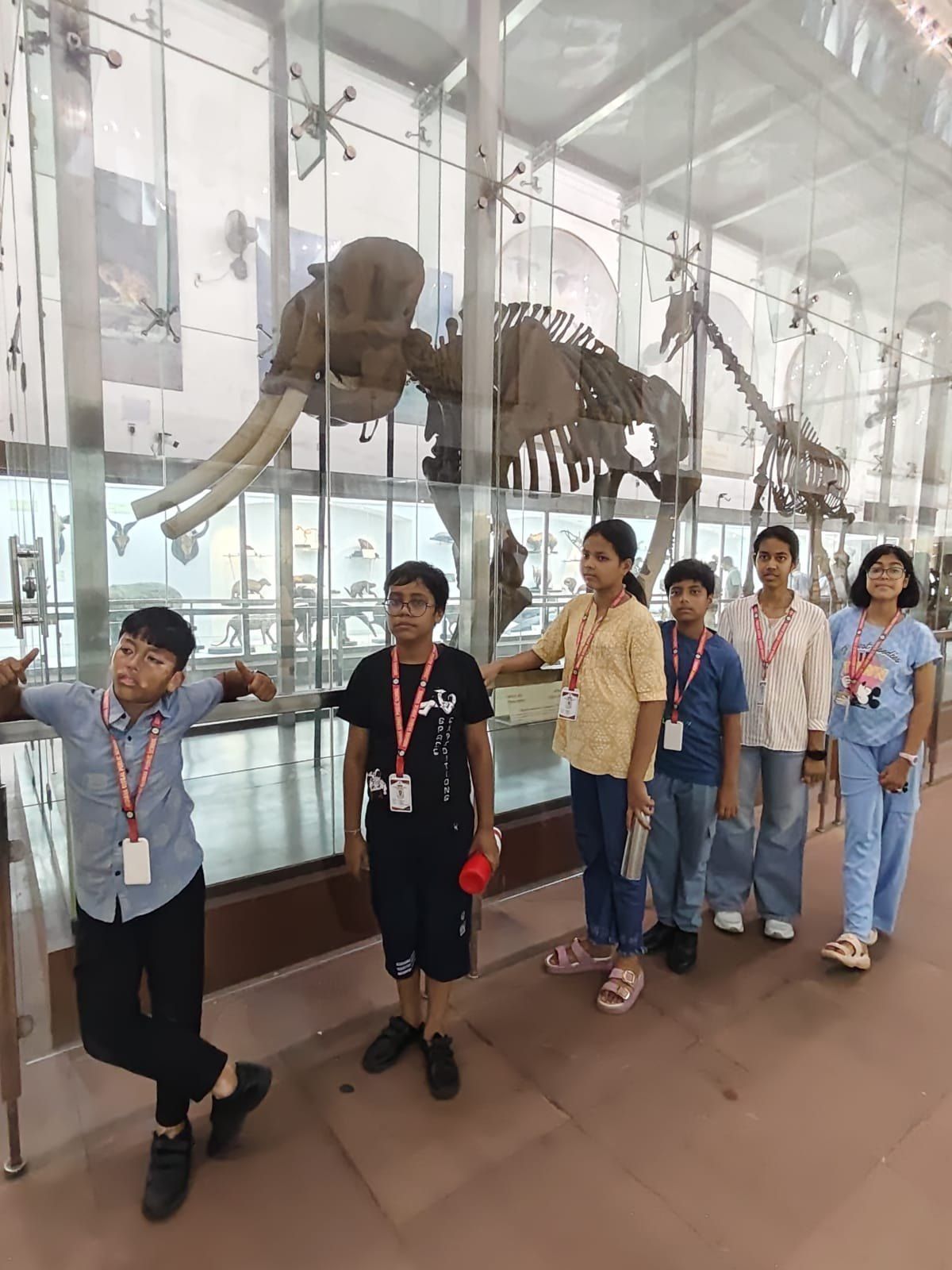In the Indian Museum skeleton gallery